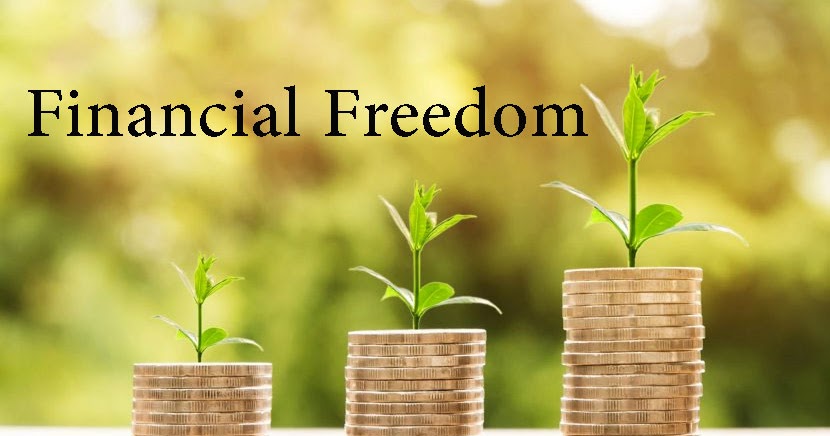 Financial freedom guide showing person achieving financial independence and success